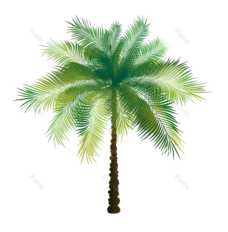 叶子图片,白色背景元素,自然PNG,绿色免抠素材